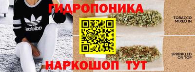 стаф Усть-Илимск
