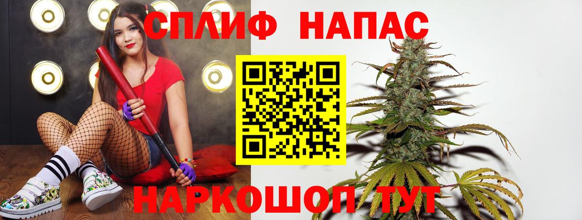 Будённовск  Каннабис сатива  Бошки марихуана марихуана  Шишки марихуана семена  Вход с VPN 